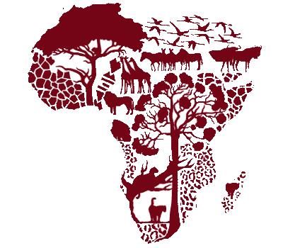 Zuid Afrika 2019